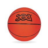 Ballon de basket futur Champ SEA